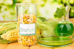 Frocester biofuel availability